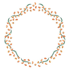 Wreath of sea buckthorn berries and leaves. Isolated watercolor illustration for tea menu design, postcards, signs, coffee shop design, poster printing, calendars.