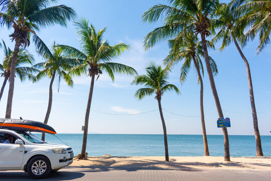 Bang-Saen Beach has palm trees sway gently against a backdrop of blue sky and sea, with a car parked under palm trees with a boat on top. Chon Buri, Thailand