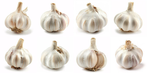 collections set of garlic isolated on white background