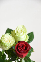 Obraz premium 赤と緑のばら