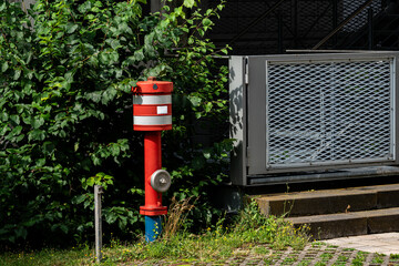 Red hydrant near a building with greenery around