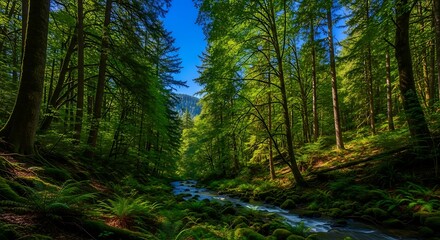 Fototapeta premium Serene forest scenery with flowing river and vibrant green lush foliage