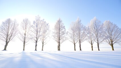 Fototapeta premium Winter landscape with snow covered trees, frozen nature scene, seasonal background