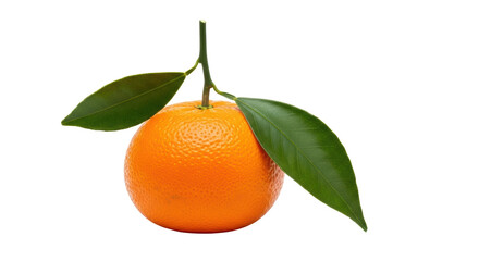 Isolated orange with leaves