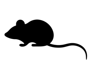 Silhouette of a small rodent mouse or rat with a long tail