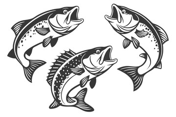 Obraz premium Bass Fish Clipart Set – SVG Cut File for Crafts & Apparel 