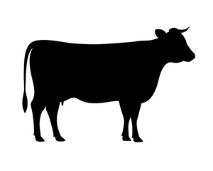 Detailed silhouette of a domestic cow standing in profile on white background
