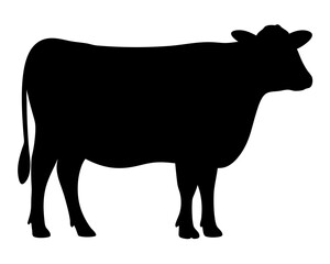 Silhouette of a black cow standing in a field, farm animal illustration