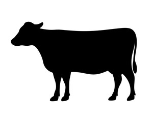 Silhouette Illustration of a Black Cow Standing Calmly on a White Background