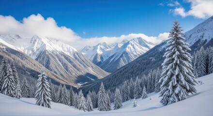 Fototapeta premium Majestic Snow Covered Mountains and Pine Trees Under a Blue Sky on a Sunny Winter Day