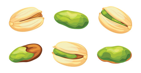 Set of delicious pistachio nuts in cartoon style. Vector illustration of beautiful different pistachios: whole, shelled, peeled isolated on white background. A healthy snack of nutritious pistachios.