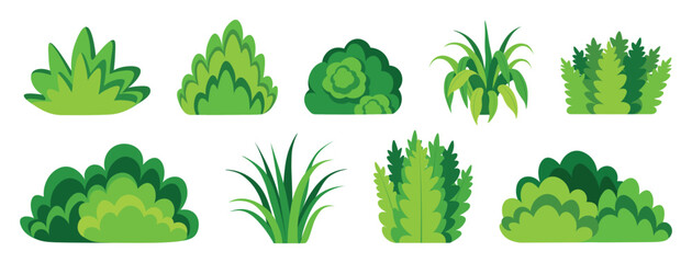 Set of green stylized bushes and shrubs cartoon style. Vector illustration of beautiful lush shrubs of various shapes and sizes, with leaves isolated on a white background. Landscape element. © MVshop