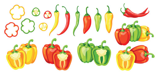 Set of colored peppers in cartoon style. Vector illustration of fresh healthy bell peppers and chili peppers: round, seeded, whole, half isolated on white background. Red, yellow, green peppers.