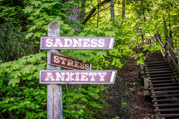 Direction Sign with Words Stress, Sadness, Anxiety in Forest Symbolizing Mental Health Struggles