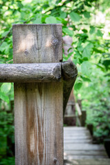 Close-Up of Wooden Railing on Forest Bridge Path in Natural Green Environment