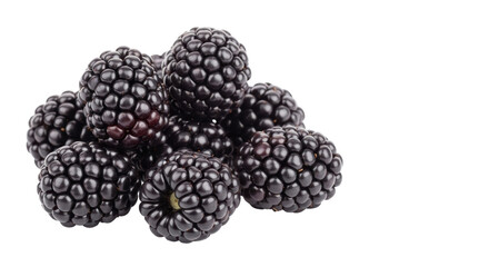 Isolated Pile of Blackberries