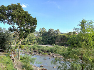spring forest nature landscape, beautiful spring stream, river rocks in mountain forest. tropical nature