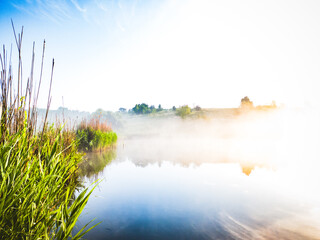 Morning landscape: a lake in fog with reflection of the forest, surrounded by reeds under a blue sky.