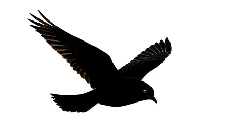 Obraz premium Isolated Silhouette of a Black Bird in Flight