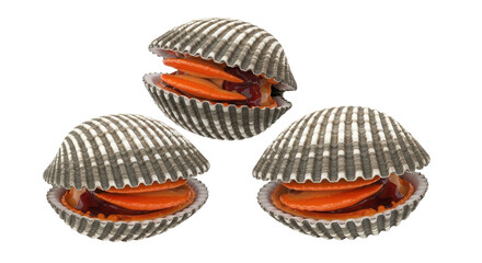 Isolated Three Fresh Cockles on White Background