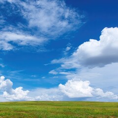 Fototapeta premium Vivid blue sky filled with fluffy white cumulus clouds above a flat expanse of verdant grassland under bright sunlight