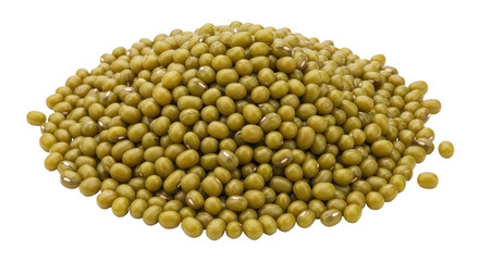Isolated Pile of Mung Beans