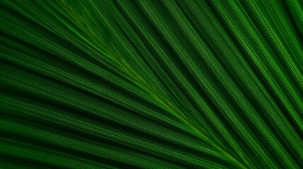 Obraz premium Radiant green palm leaf with vivid veins. Artificial intelligence image