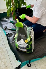 Indoor Plant Repotting with Gardening Tools and Soil