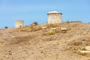 A dry landscape with two stone structures and three sheep grazing on the hillside under a clear...