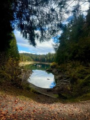 Tranquil Forest Lake Reflected Under Cloudy Sky
