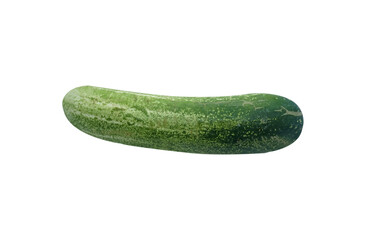 Fresh organic single cucumber on white background.