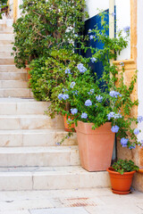 Charming staircase adorned with vibrant green plants and blooming flowers in Santa Cruz, Alicante. A picturesque scene showcasing Mediterranean beauty and tranquility.
