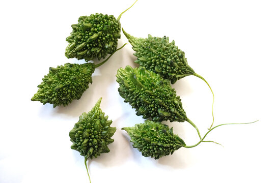 Fresh Bitter Gourds or karela  on White Background