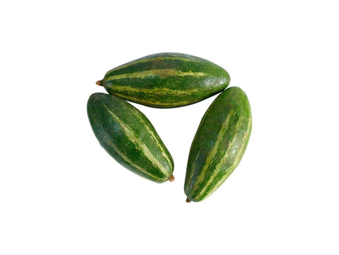Fresh Pointed Gourd (Potol) on white background 