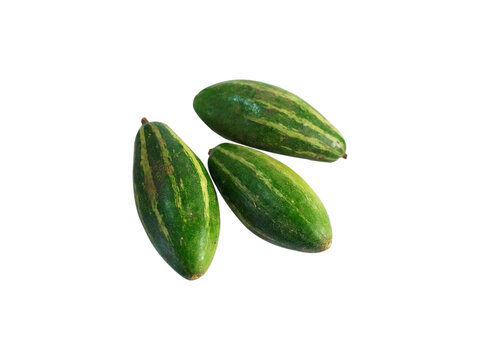 Fresh Pointed Gourd (Potol) on white background 