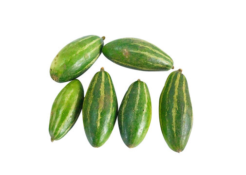 Fresh Pointed Gourd (Potol) on white background 