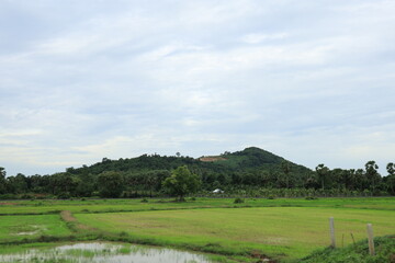 Fototapeta premium Scenic View of a Lush Green Hillside Landscape Under a Cloudy Sky IMG_0480.JPG