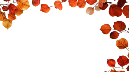 Autumn background leaf wood hardwood.