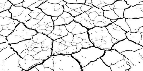 Dry cracked earth texture showing drought and arid climate. Detailed close-up of parched soil pattern. Ideal for backgrounds, environmental themes, or natural surface design.

