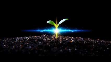 Seedling growth with energy effect concept for new beginnings and innovation ideas