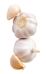 Top view of two garlic bulbs and two garlic cloves in heap isolated with clipping path in png file format