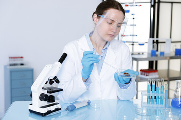 Fototapeta premium Scientist working with sample in Petri dish at table in laboratory