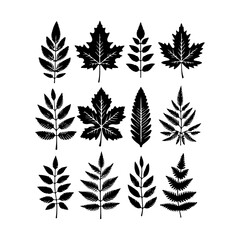 set of leaves silhouettes