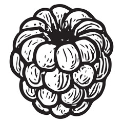 Obraz premium Hand-Drawn Single Raspberry Illustration with Detailed Texture