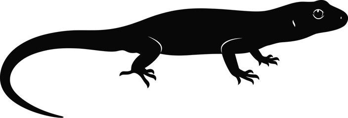  Black Salamander Lizard Reptile Amphibian Silhouette