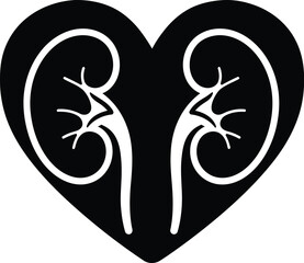 Healthy Human Kidneys with Arteries and Veins Illustration