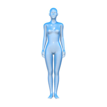 3d rendered model of a female human body, woman