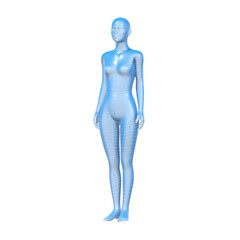 3d rendered model of a female human body, woman figure