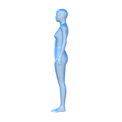 3d rendered model of a female human body, woman figure