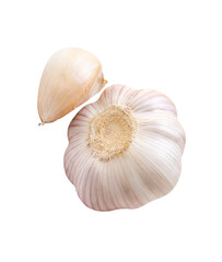 Top view set of one unpeeled garlic bulb and one garlic clove isolated with clipping path in png file format